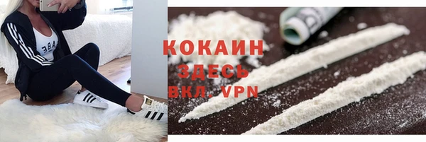 тгк Богородицк