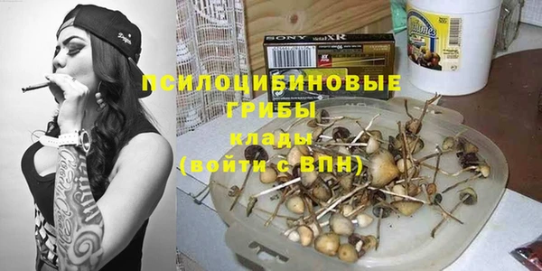 гидропоника Богданович