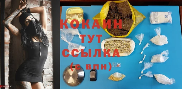 тгк Богородицк