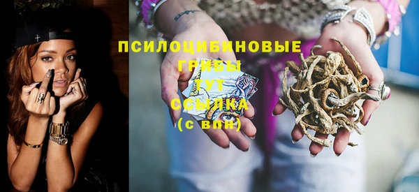 тгк Богородицк