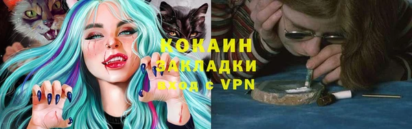 ГАЛЛЮЦИНОГЕННЫЕ ГРИБЫ Богородск