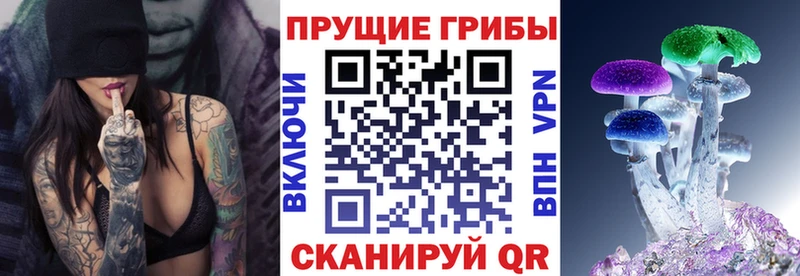 сколько стоит  Обь  Псилоцибиновые грибы прущие грибы 