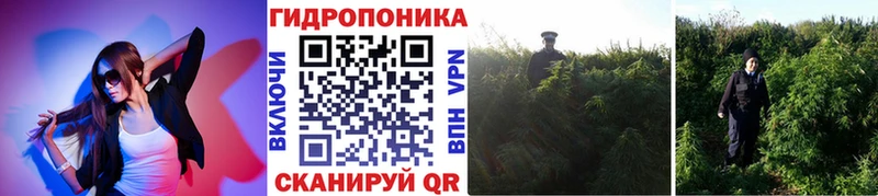 купить наркотик  Обь  Бошки Шишки план 